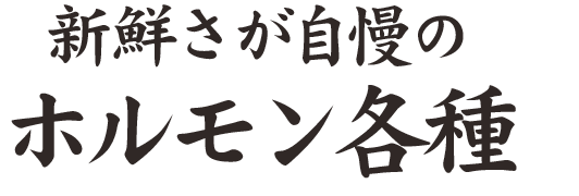 新鮮さが自慢の ホルモン各種