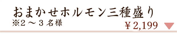 お任せホルモン三種盛り